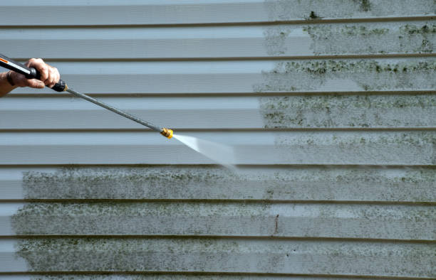 Professional Pressure Washing in Davison, MI
